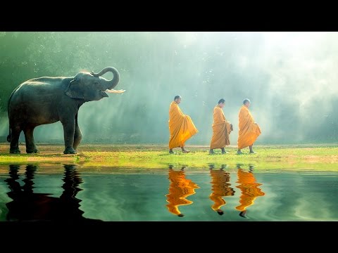 Buddhist Thai Monks Chanting Mantra for Healing and Positive Energy