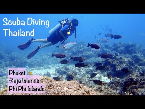 Scuba Diving in Thailand, Andaman Sea – Phuket, Phi Phi Islands, Raja Islands